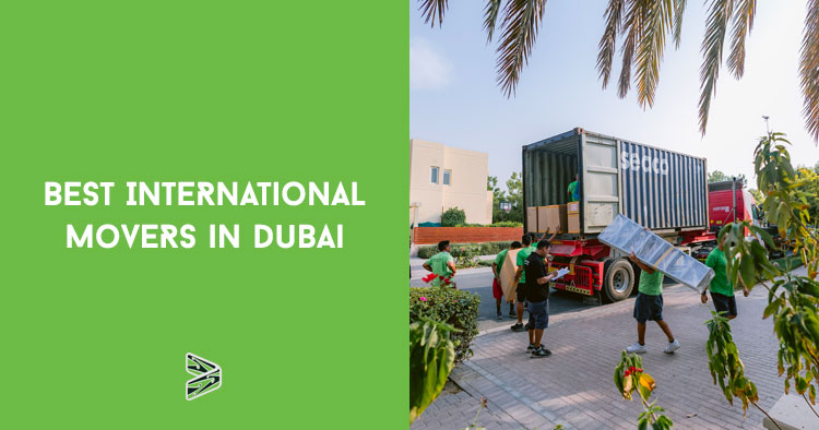 Best international movers in Dubai
