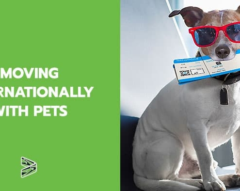Moving internationally with pets