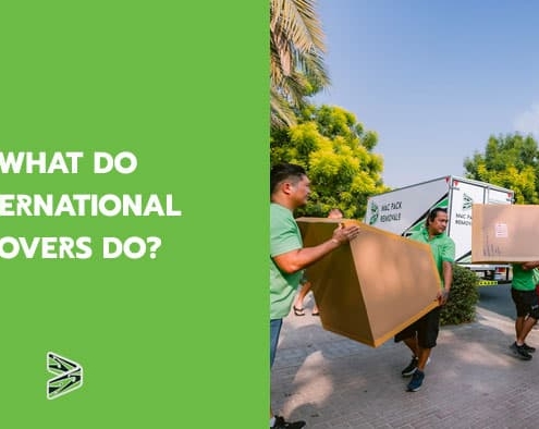 What do international movers do?
