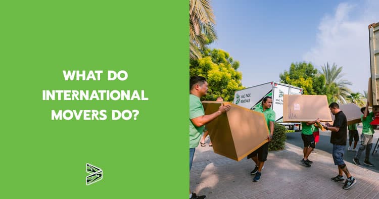 What do international movers do?